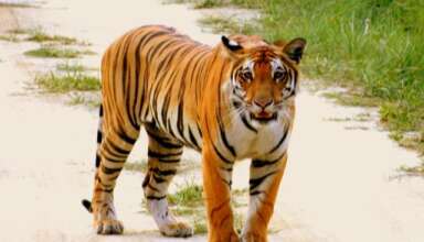 संग्रहित छायाचित्र